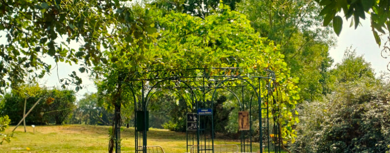 Kiosque 2 - La Balagane 800x600